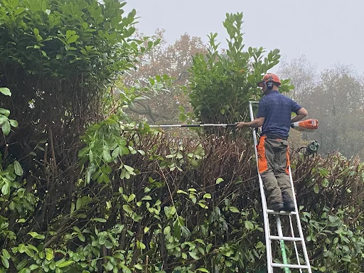 FUTURE GROUNDS CARE LTD