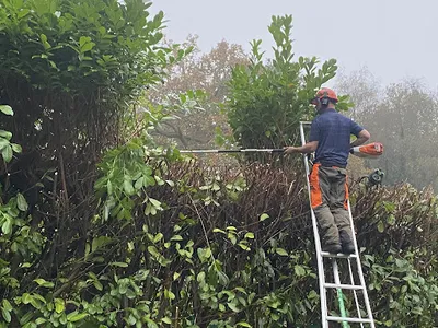 FUTURE GROUNDS CARE LTD