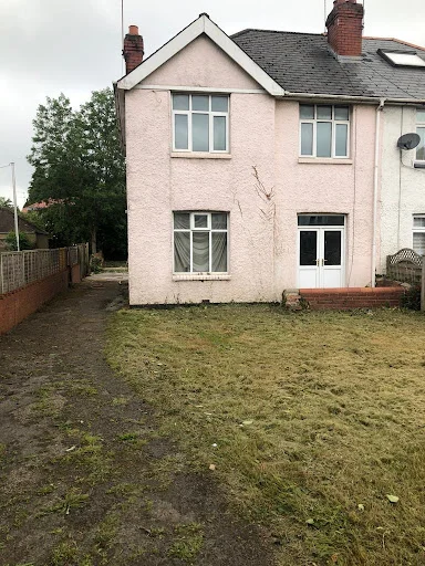 Reynz Clearance
