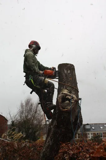OAKFIELD TREE & HEDGE SERVICES LIMITED