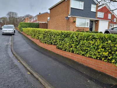 Thomas Boyle trading as TB Garden Services/Rubbish Removals
