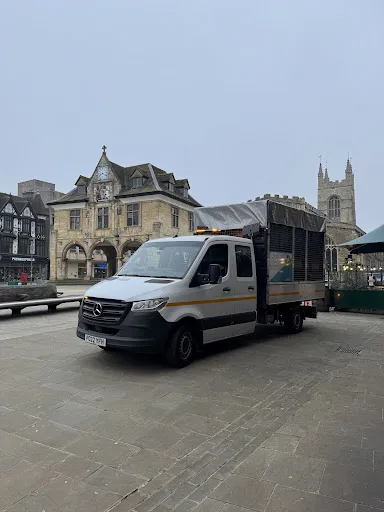 LV 81 Removals & Waste Management