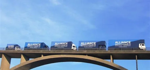 ALLIANCE MOVING SERVICES LTD