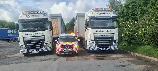 LYMER'S ASSIST LTD