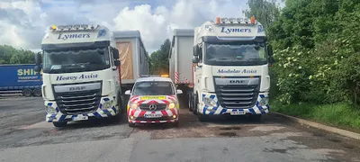 LYMER'S ASSIST LTD