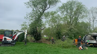 KINCH TREE SURGEONS LIMITED