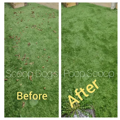 Scoop Dogs Pet Waste