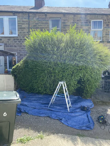 JRB Property Cleaning & Clearance Services