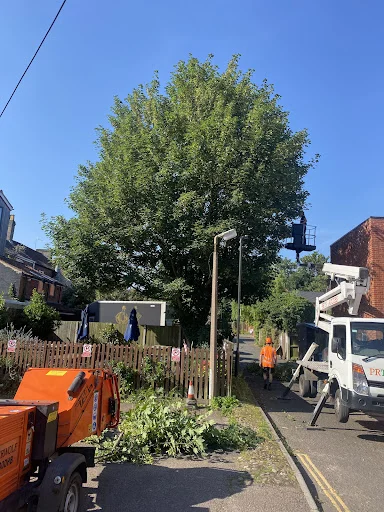 PRTS ACCESS LIMITED trading as PRTS Trees