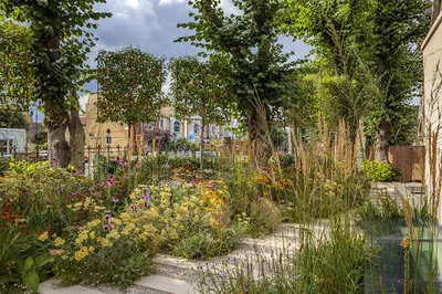 LDN HORTICULTURE LTD