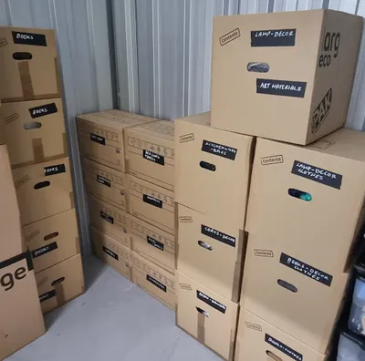 Rapid Removals & Collections