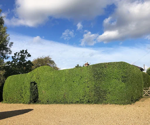 LUMBERJACK TREE MAINTENANCE LIMITED trading as Lumberjack Tree Maintenance Ltd