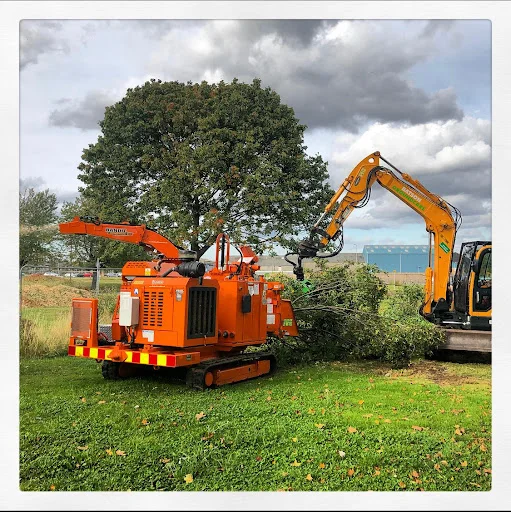 BATSON GROUNDCARE LTD