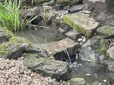 ROI GROUP LIMITED trading as Pond Works