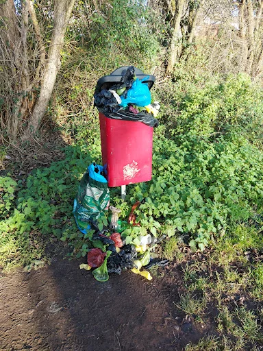 Merlin environmental services