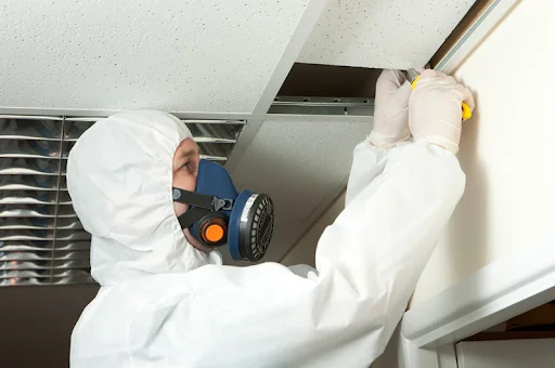 AMITY INSULATION SERVICES LIMITED