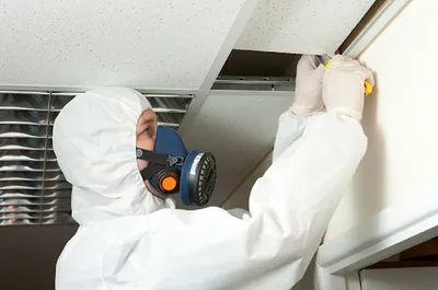 AMITY INSULATION SERVICES LIMITED