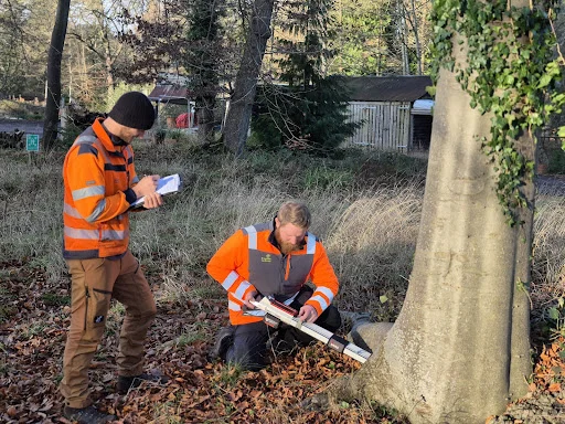 RINGROSE TREE SERVICES LTD