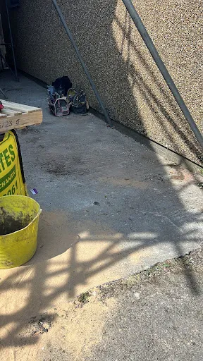 LEE DECRUZ ACE WASTE WILL SHIFT IT