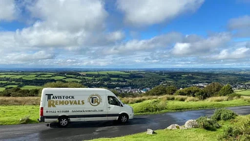 TAVISTOCK REMOVALS LTD