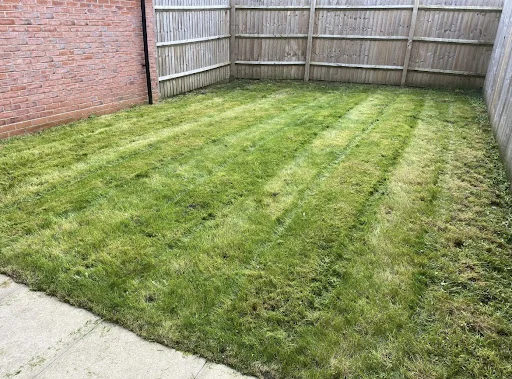 THE GRASS GURU LIMITED