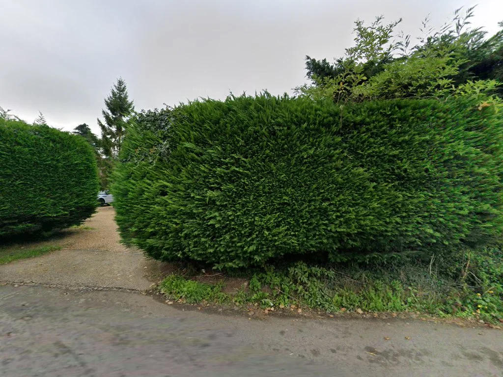 HOPKINS PROPERTY SERVICES LTD