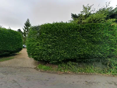 HOPKINS PROPERTY SERVICES LTD