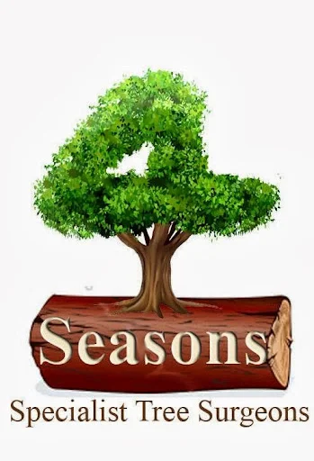 4SEASONS SPECIALIST TREE SURGEONS LIMITED