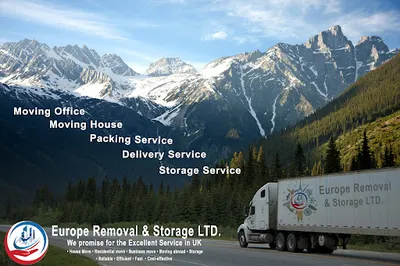 EUROPE BRAZIL REMOVALS LTD