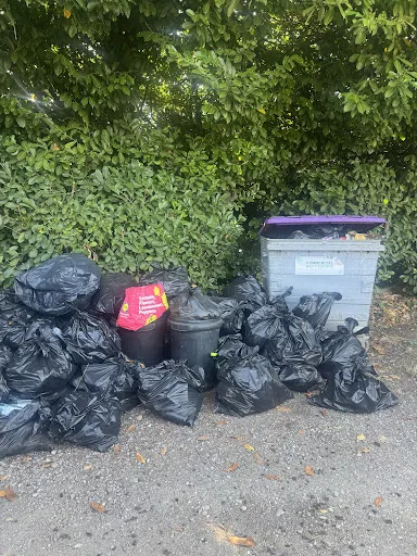 Tip And Tidy