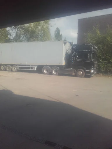 HOBAN LIMITED