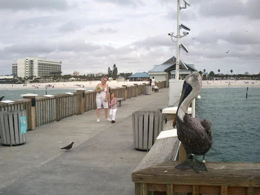 Clearwater clearance