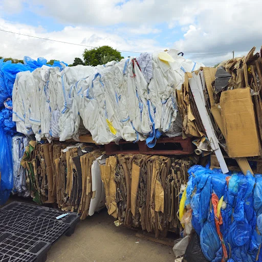 GEGAN ENVIRONMENTAL MANAGEMENT LTD