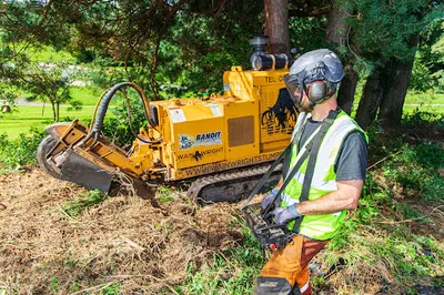 Wainwright Tree Stump Removal Ltd
