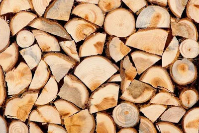 BEAR VALLEY TIMBER LTD