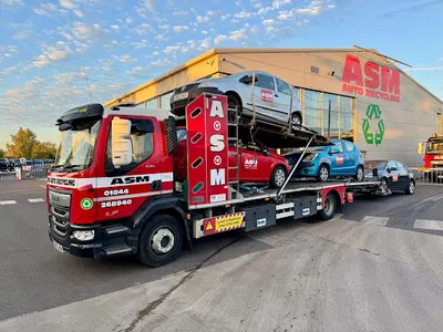 ASM AUTO RECYCLING LTD.