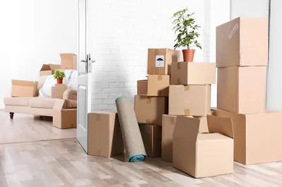 Jurassic House Clearance Company