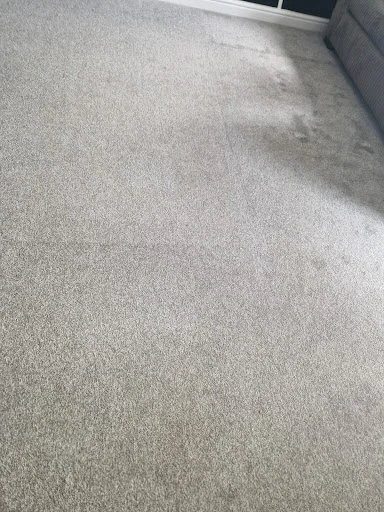 SPOTLESS CLEANING SERVICES DN LTD