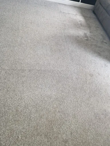 SPOTLESS CLEANING SERVICES DN LTD