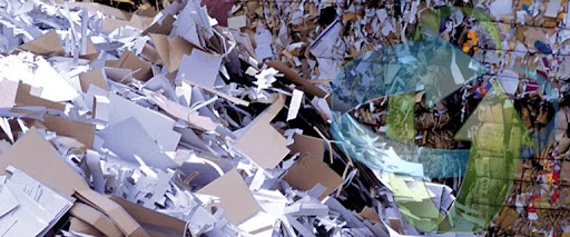 S B WASTE SOLUTIONS LIMITED
