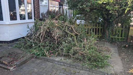 EZ WASTE REMOVALS LTD