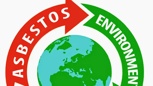 ASBESTOS ENVIRONMENTAL REMOVALS LIMITED