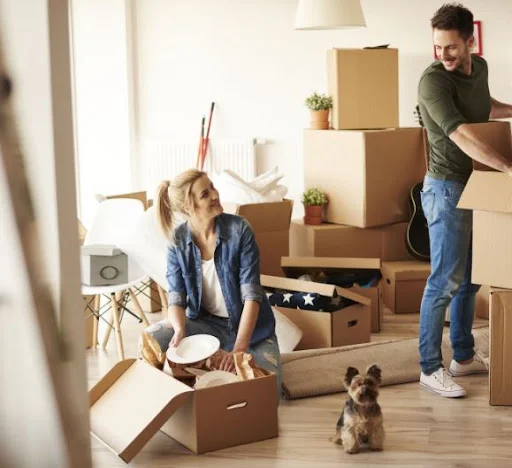 SOUTH WEST REMOVALS LTD