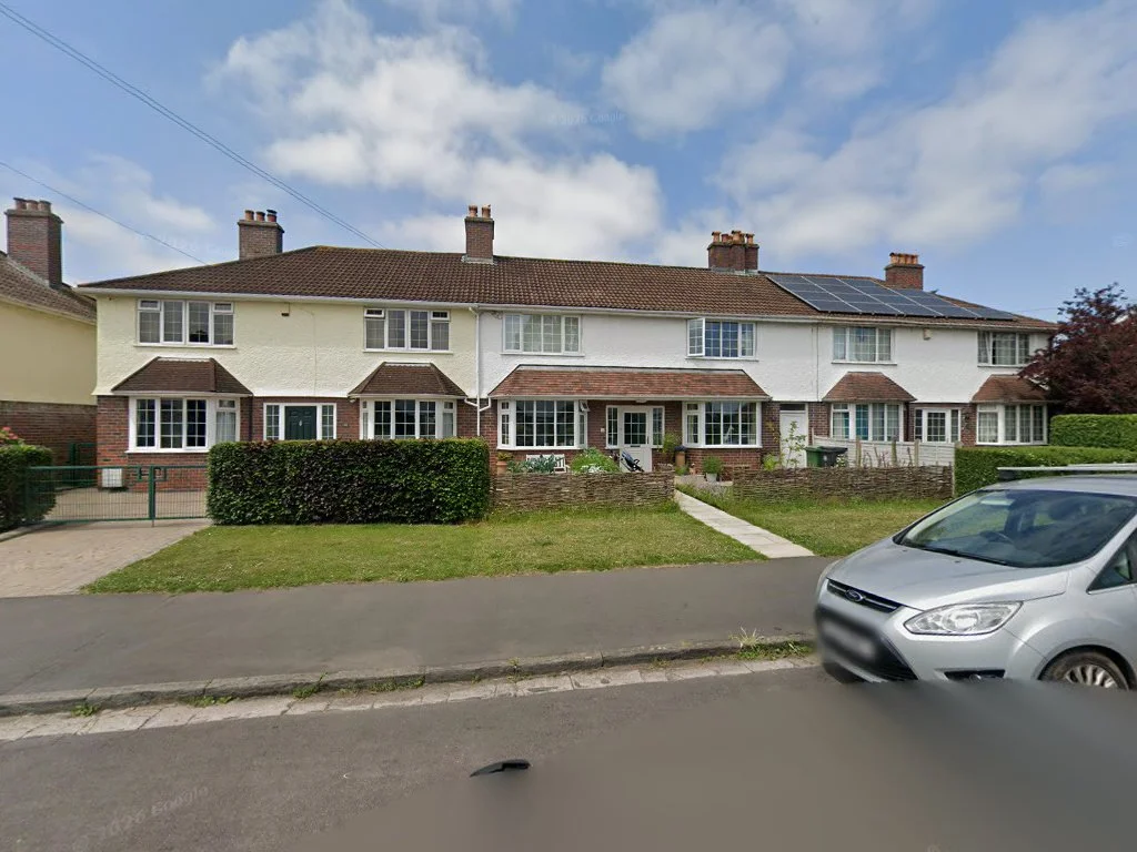 BRANCH WALKERS TREE SERVICES LIMITED
