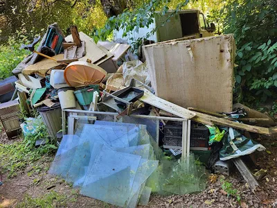 Magpie Mole Clearance