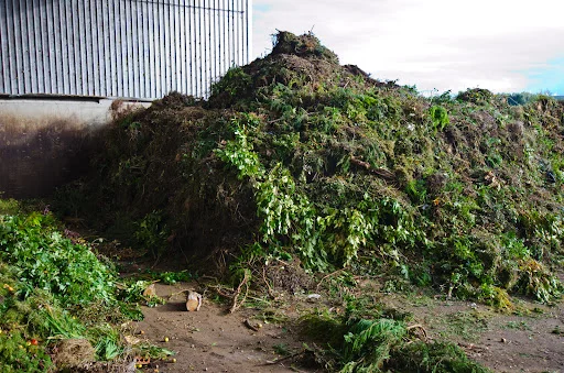 WEST LONDON COMPOSTING LIMITED