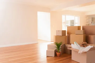 Mark Jarvis trading as mark jarvis house clearance