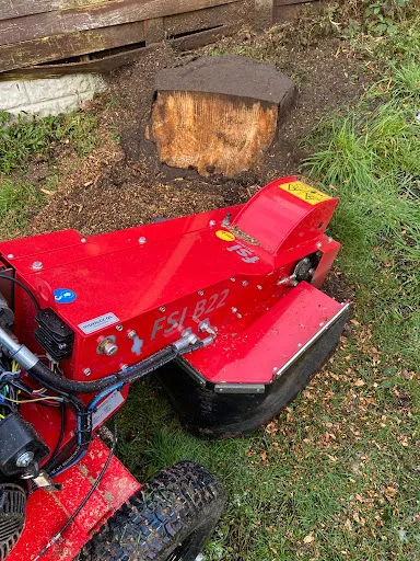 Lancashire Stump Removal