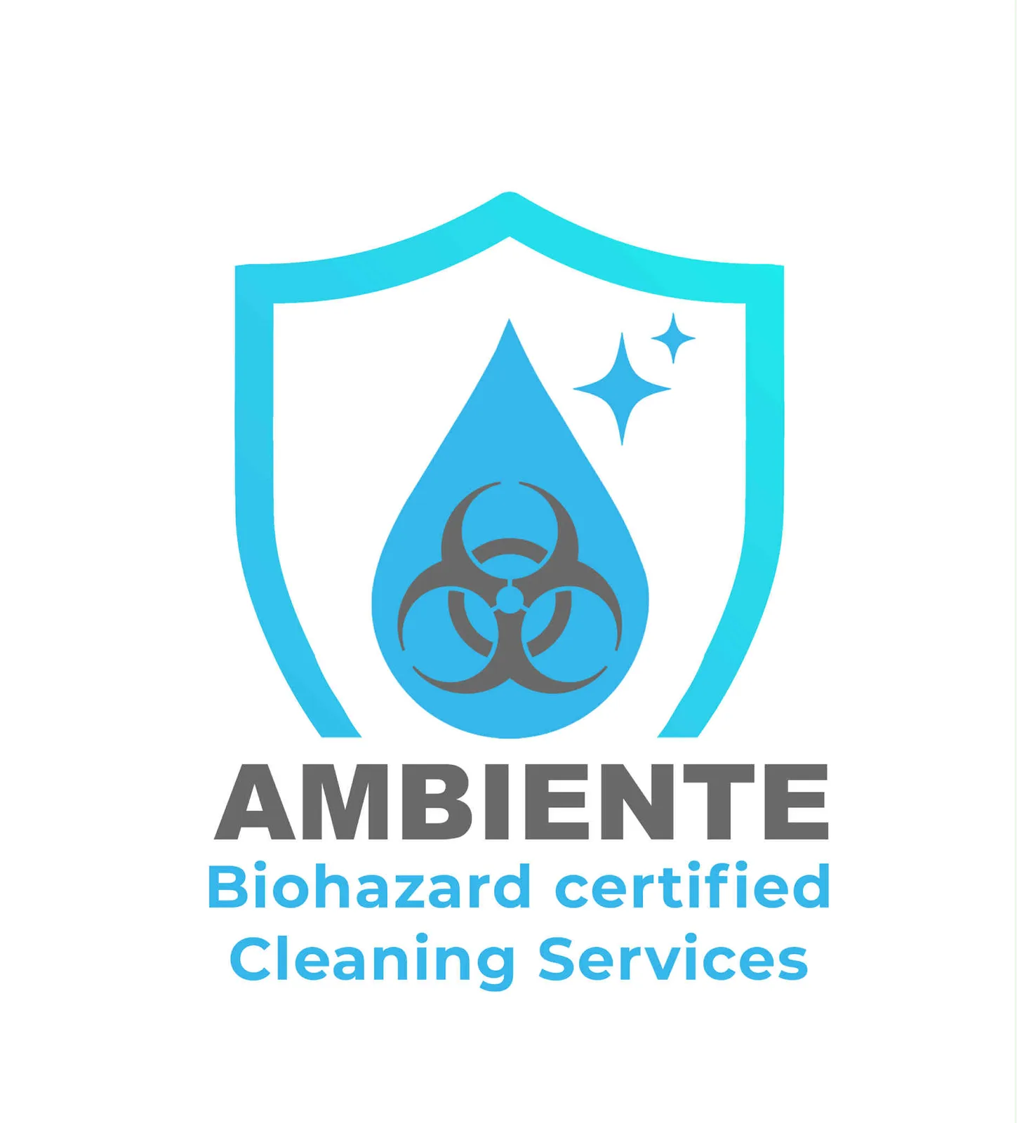 AMBIENTE FM LTD