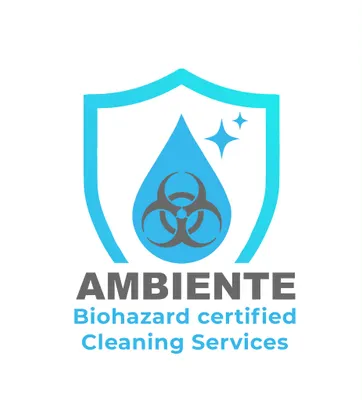 AMBIENTE FM LTD